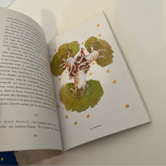 Set of 2 books le petit prince and the little prince english and french - Picture 10 of 10